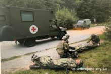 Zveren cvienie prpornch obvzsk 1.mb