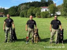 Majstrovstv vo vkone psovodov a sluobnch psov Vojenskej polcie